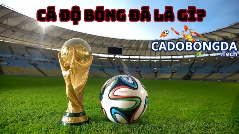 Cá độ bóng đá là gì?