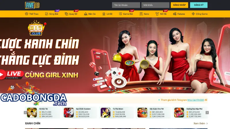 Giải đáp các thắc mắc của người chơi về nhà cái FIVE88