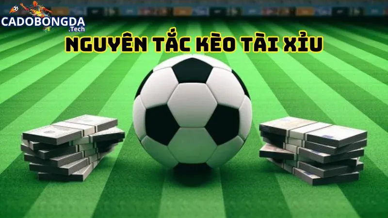 Nguyên tắc đánh tài xỉu trong cá độ bóng đá 
