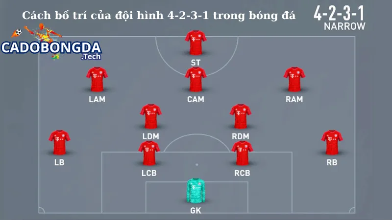 Cách bố trí của đội hình 4-2-3-1 trong bóng đá