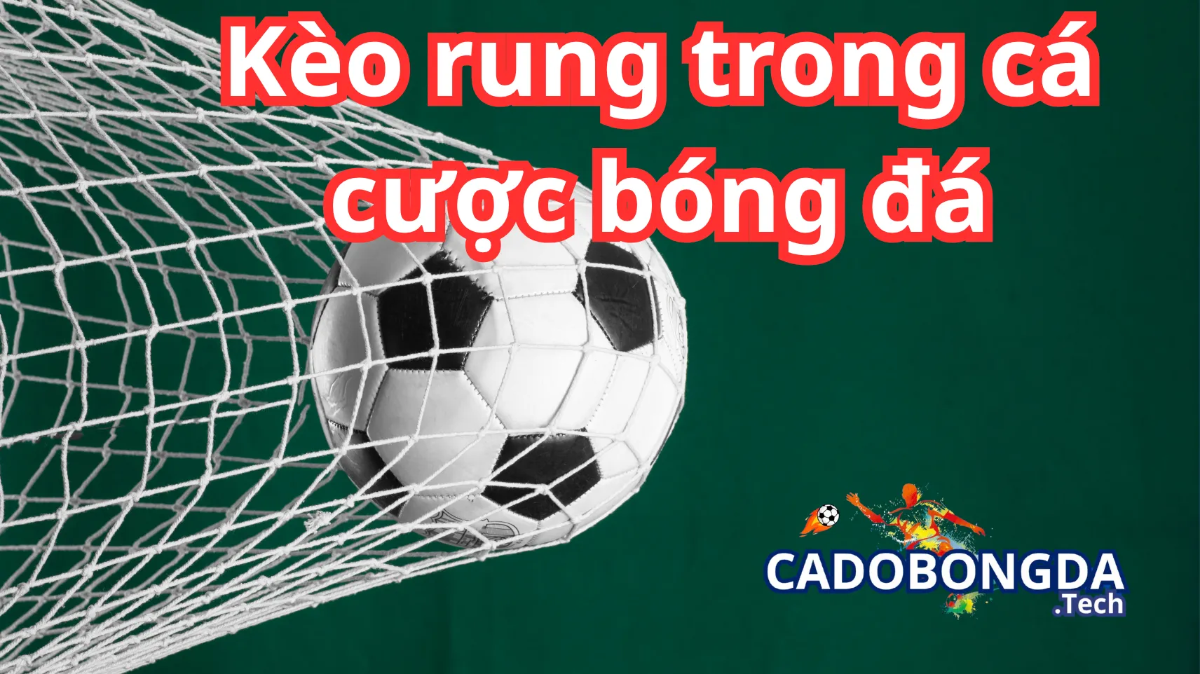Ưu điểm và nhược điểm của kèo rung