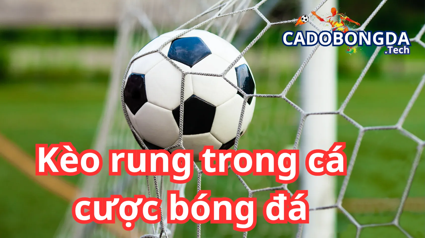 Hướng dẫn cách chơi kèo rung cho tân thủ