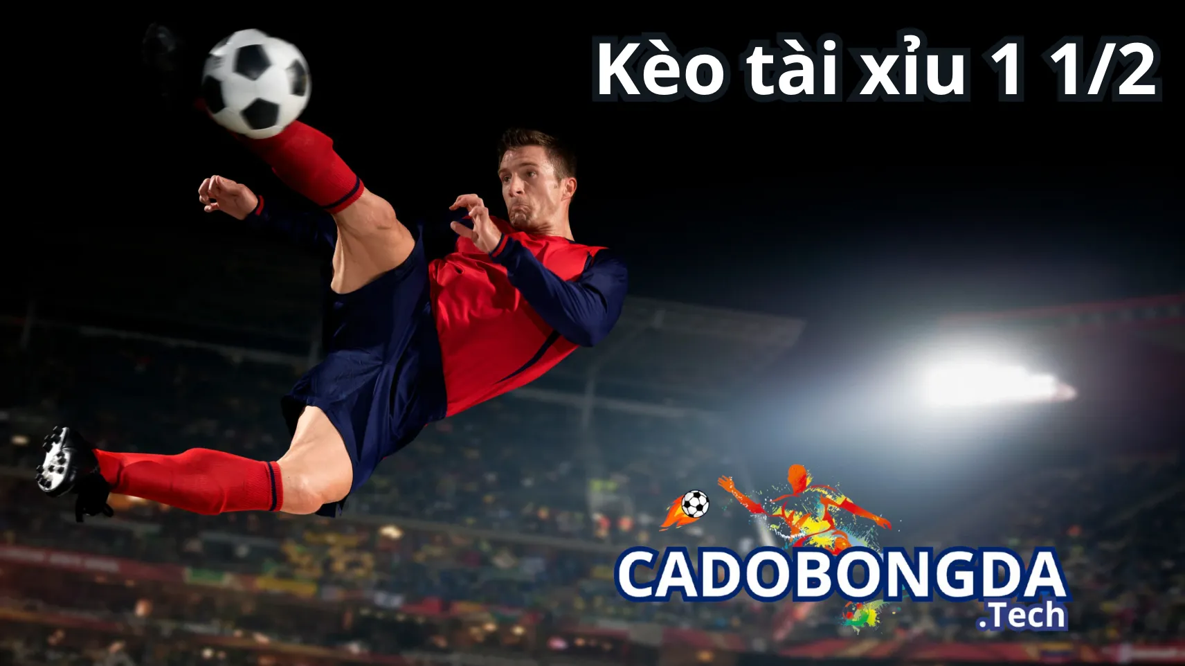 Những thông tin cần biết về kèo tài xỉu 1 1/2 trái