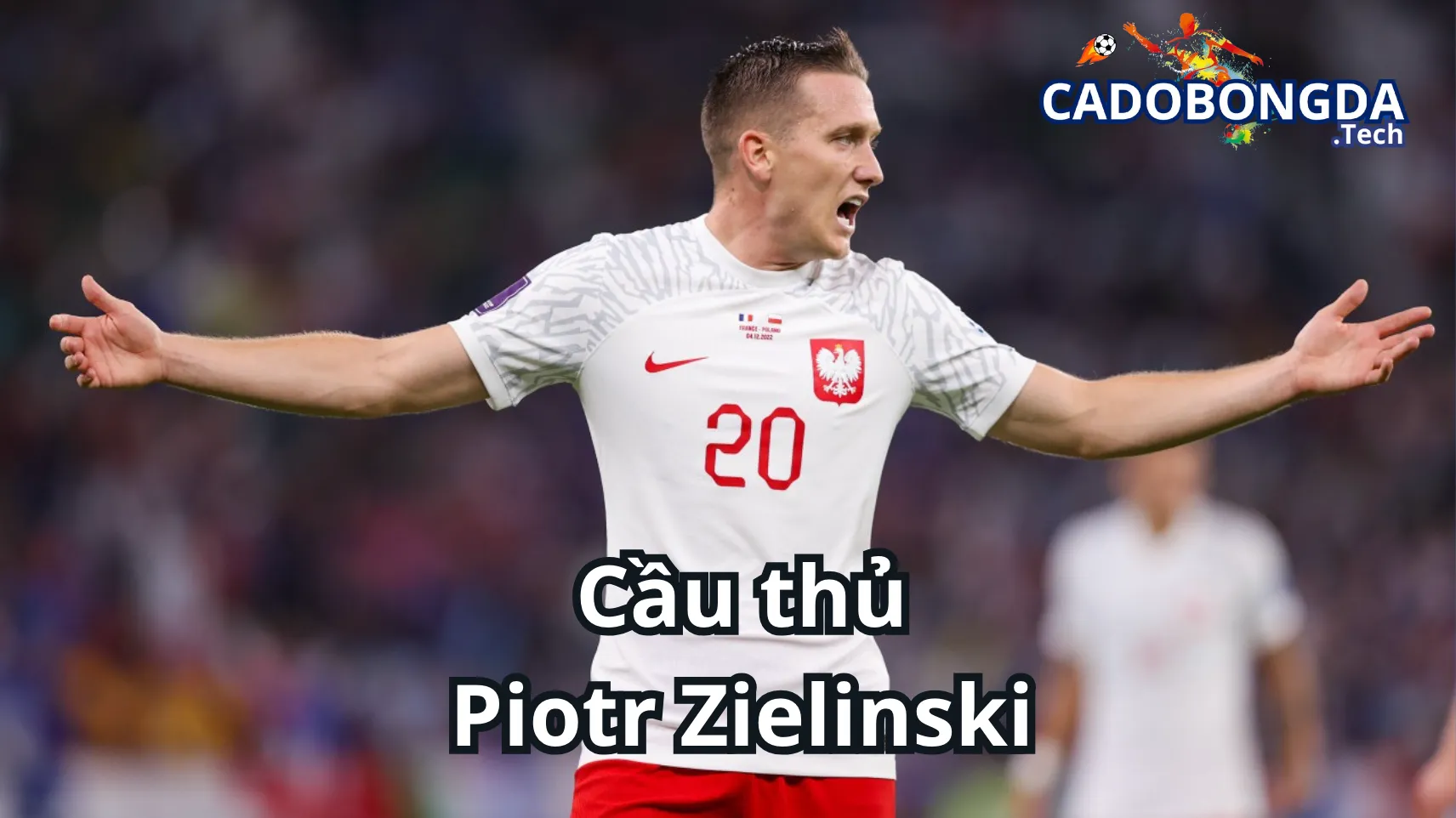 Điểm lại sự nghiệp đội tuyển quốc gia của Piotr Zielinski