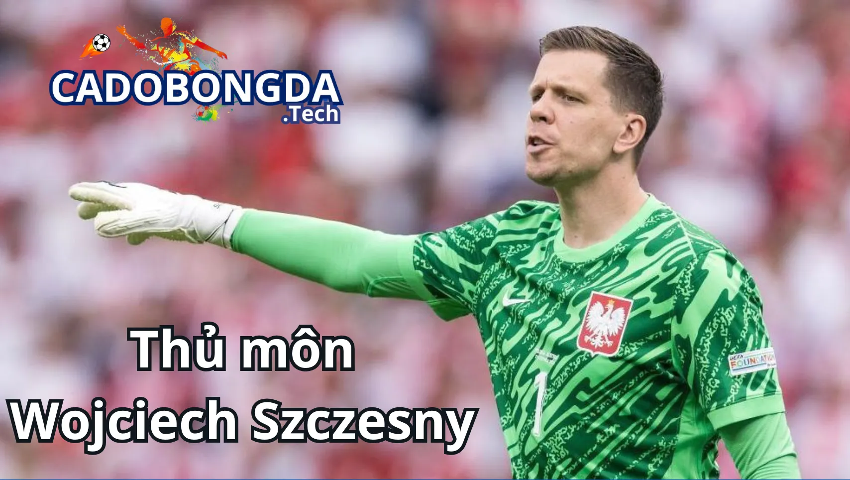 Sự nghiệp của Wojciech Szczesny trong bóng đá