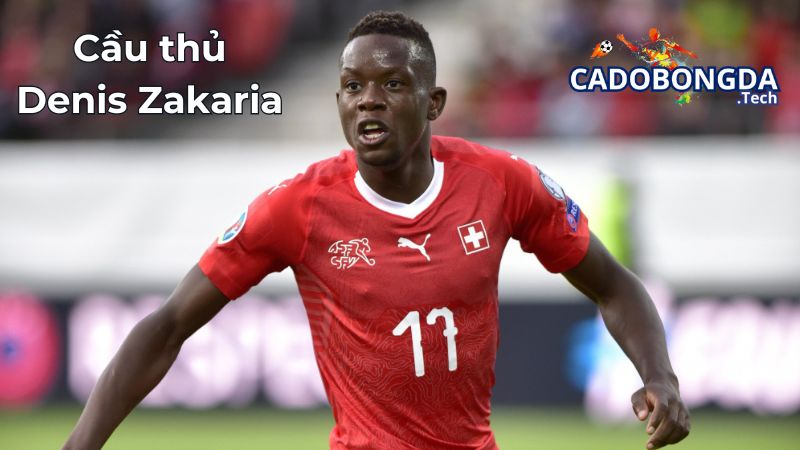 Sự nghiệp câu lạc bộ của Denis Zakaria Sự nghiệp câu lạc bộ của Denis Zakaria