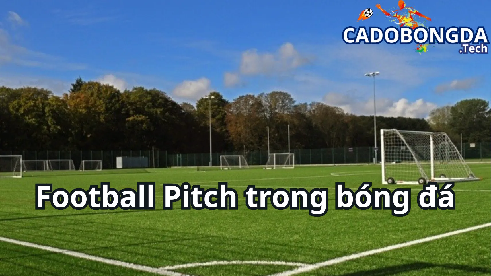 Những tiêu chuẩn FIFA của 1 Football Pitch