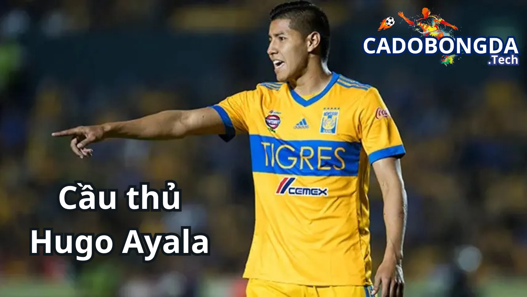 Sự nghiệp thi đấu của cấp câu lạc bộ của Hugo Ayala