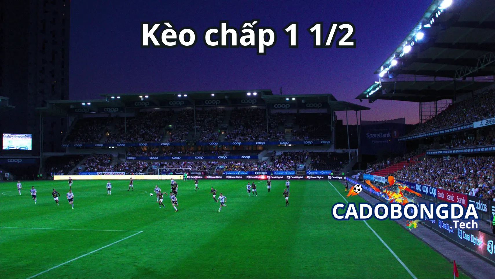 Cách tính tiền kèo chấp 1 1/2 (1.5, 1 trái rưỡi)