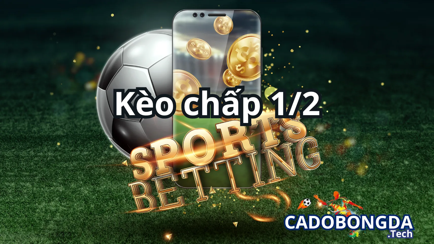 Đặc điểm của kèo chấp 1/2 (0.5, nửa trái) Đặc điểm của kèo chấp 1/2 (0.5, nửa trái)