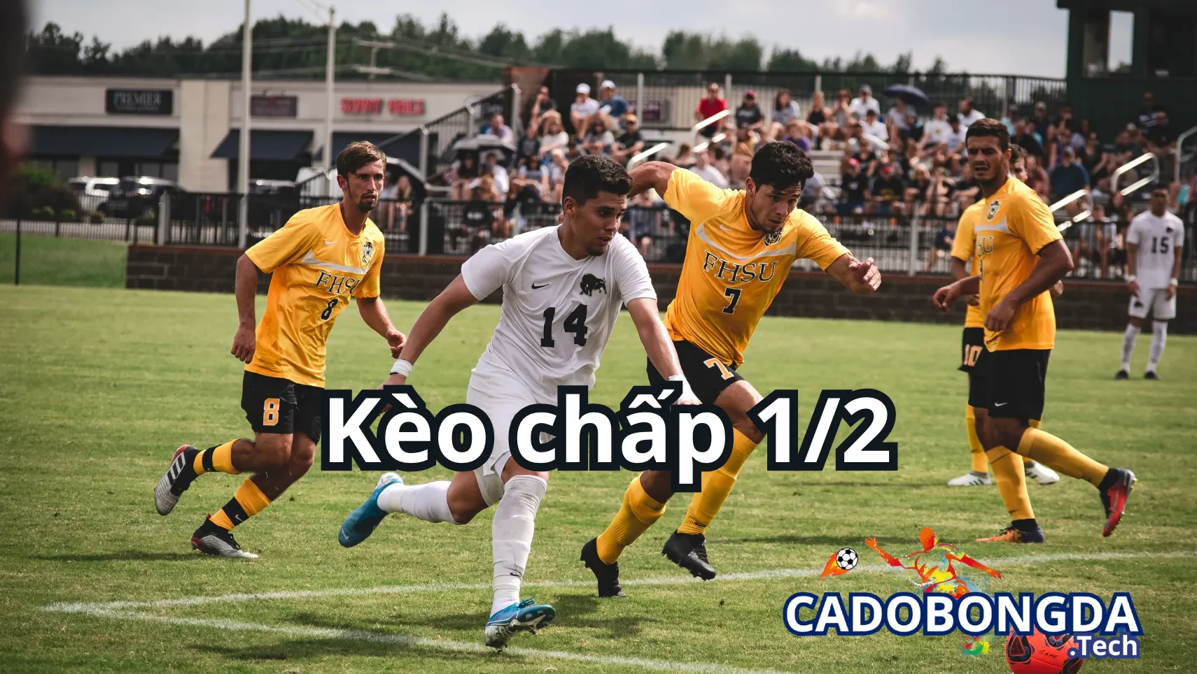 Hướng dẫn cách đọc kèo chấp 1/2 (0.5, nửa trái) Hướng dẫn cách đọc kèo chấp 1/2 (0.5, nửa trái)