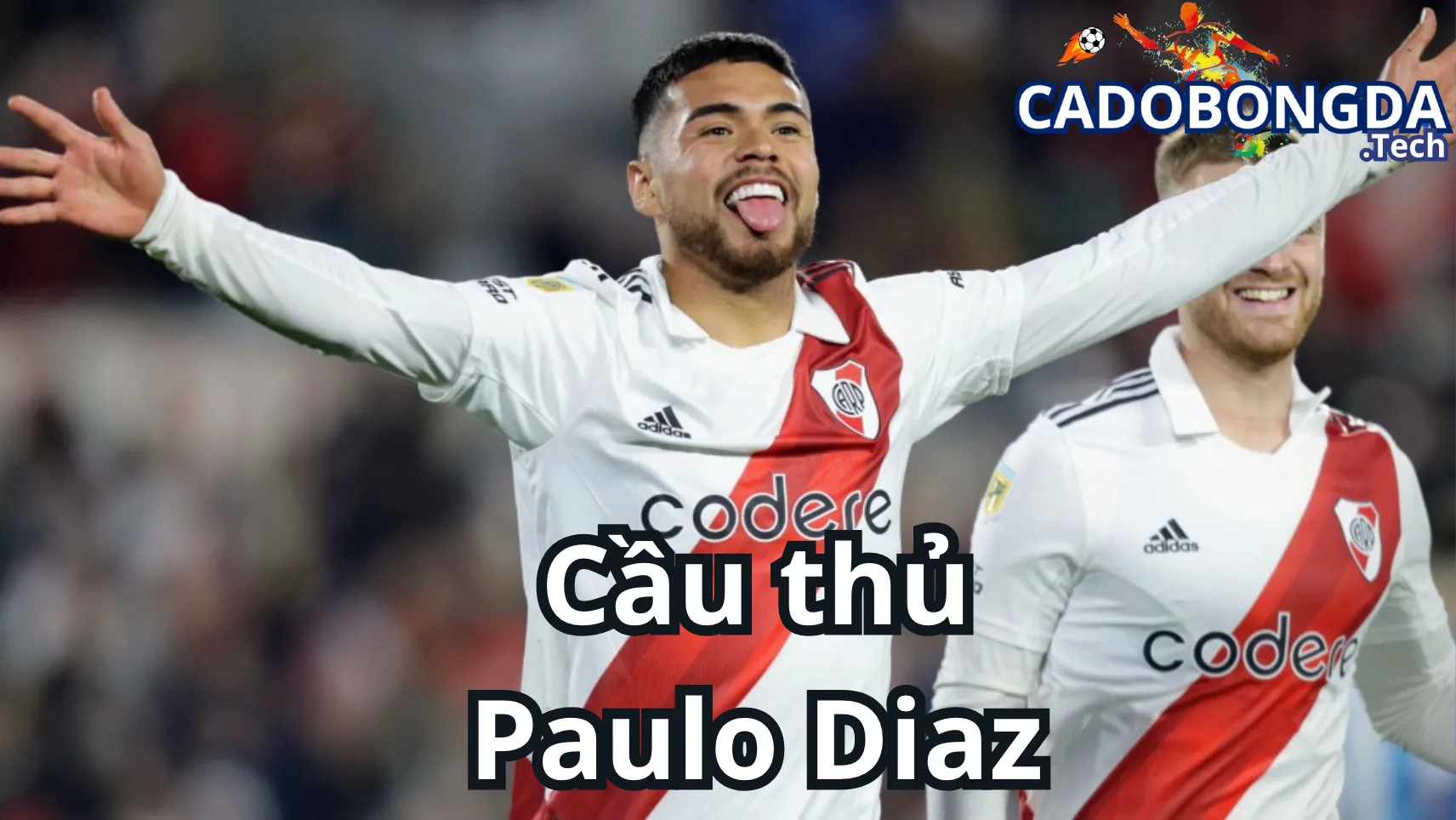 Sự nghiệp thi đấu chuyên nghiệp của Paulo Diaz