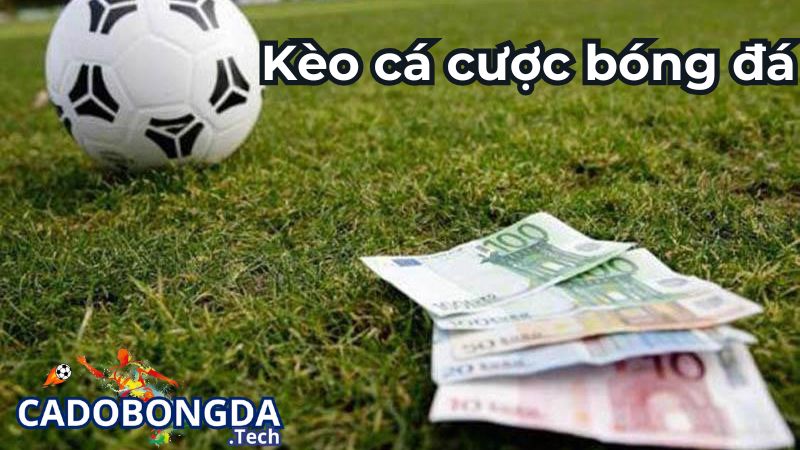 Những kèo cá cược bóng đá thường gặp nhất Những kèo cá cược bóng đá thường gặp nhất