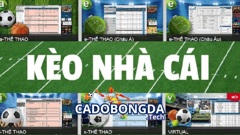 Kinh nghiệm giải mã kèo nhà cái cực chuẩn