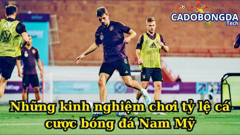 Những kinh nghiệm chơi tỷ lệ cá cược bóng đá Nam Mỹ