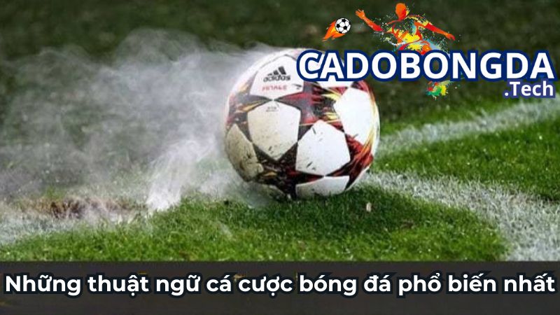 Những thuật ngữ cá cược bóng đá phổ biến nhất
