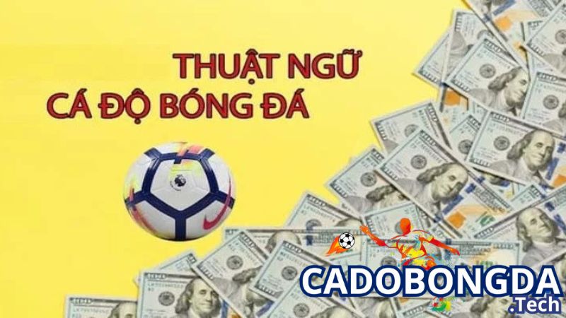 Những thuật ngữ khác trong cá cược bóng đá