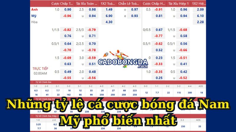 Những tỷ lệ cá cược bóng đá Nam Mỹ phổ biến nhất