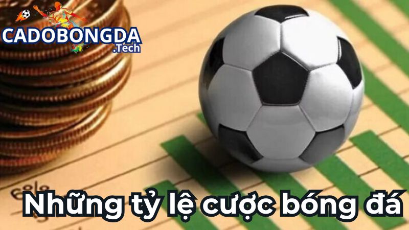 Những tỷ lệ cược bóng đá bet thủ nên biết Những tỷ lệ cược bóng đá bet thủ nên biết