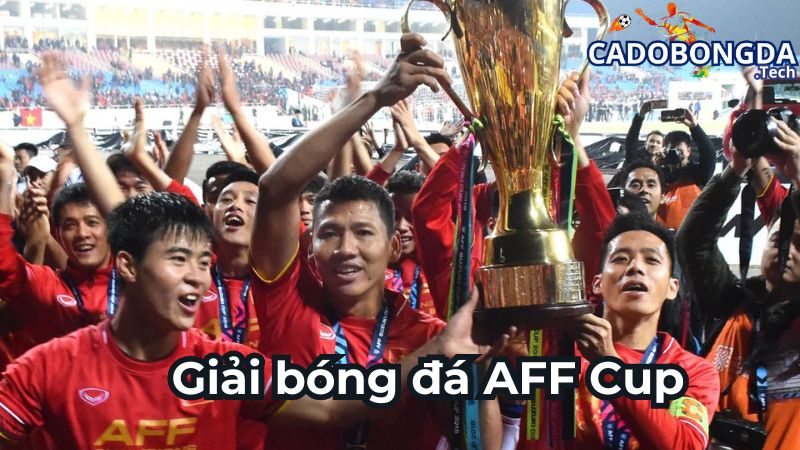 Các nhà vô địch AFF cup trong lịch sử giải đấu