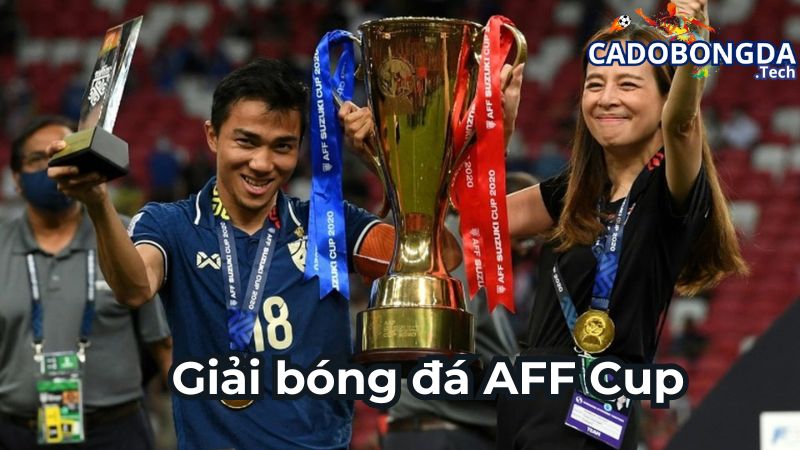 Những thông tin chi tiết về AFF cup