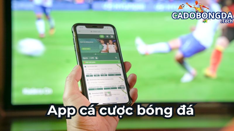 Những lưu ý khi tải app cá cược bóng đá