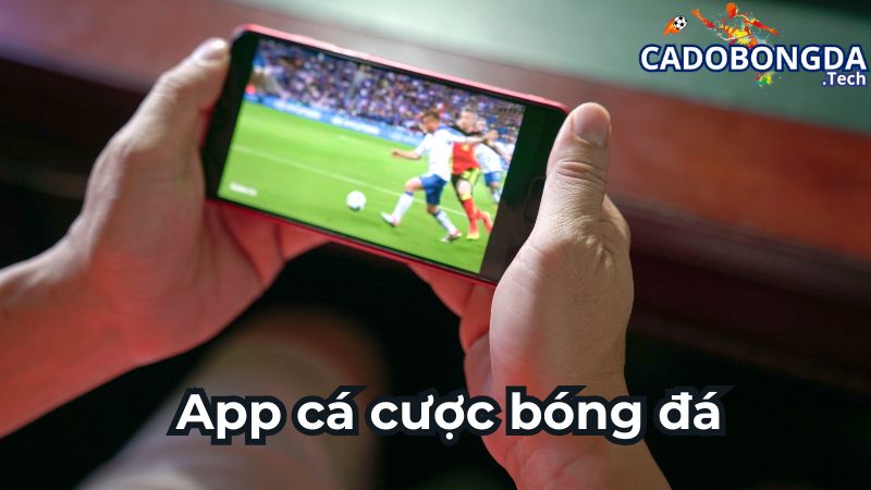 Những app cá cược bóng đá uy tín, chất lượng nhất hiện nay