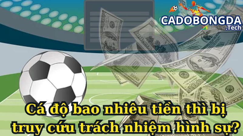 Cá độ bao nhiêu tiền thì bị truy cứu trách nhiệm hình sự? Cá độ bao nhiêu tiền thì bị truy cứu trách nhiệm hình sự?