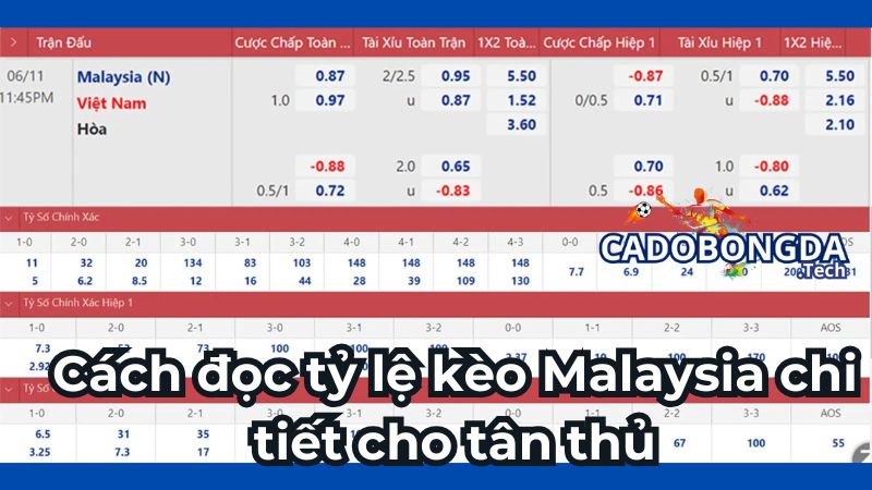 Cách đọc tỷ lệ kèo Malaysia chi tiết cho tân thủ