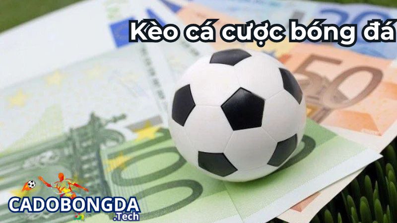 Ví dụ về kèo cá cược bóng đá trực tuyến Ví dụ về kèo cá cược bóng đá trực tuyến