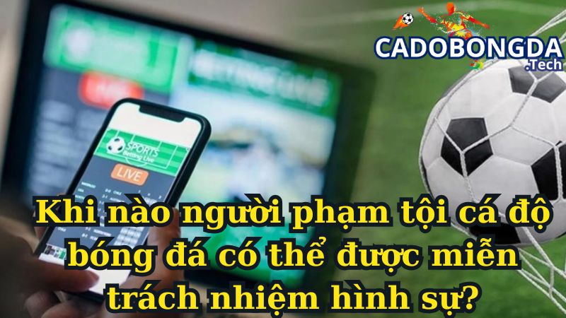 Khi nào người phạm tội cá độ bóng đá có thể được miễn trách nhiệm hình sự? Khi nào người phạm tội cá độ bóng đá có thể được miễn trách nhiệm hình sự?