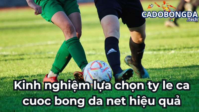 Kinh nghiệm lựa chọn ty le ca cuoc bong da net hiệu quả