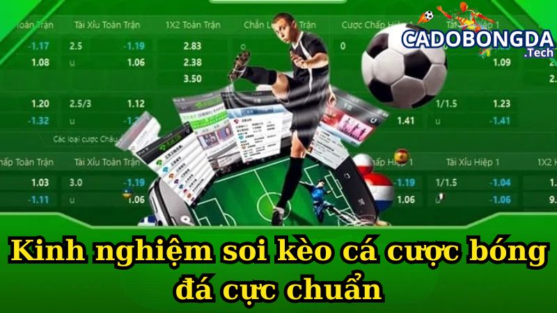 Kinh nghiệm soi kèo cá cược bóng đá cực chuẩn