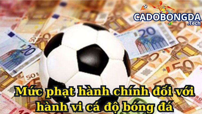 Mức phạt hành chính đối với hành vi cá độ bóng đá Mức phạt hành chính đối với hành vi cá độ bóng đá