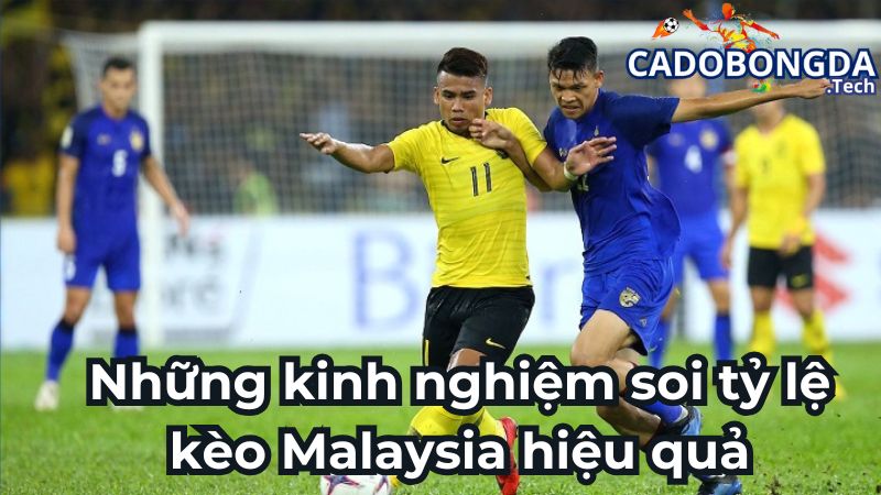 Những kinh nghiệm soi tỷ lệ kèo Malaysia hiệu quả
