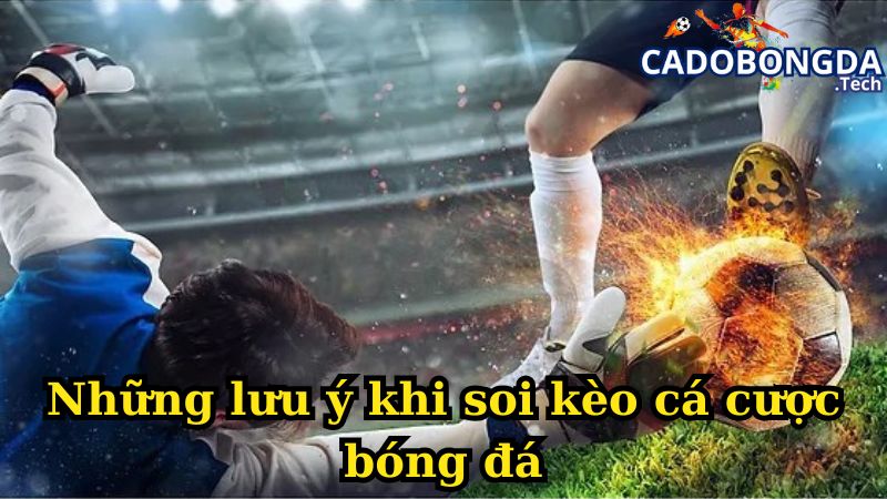 Những lưu ý khi soi kèo cá cược bóng đá