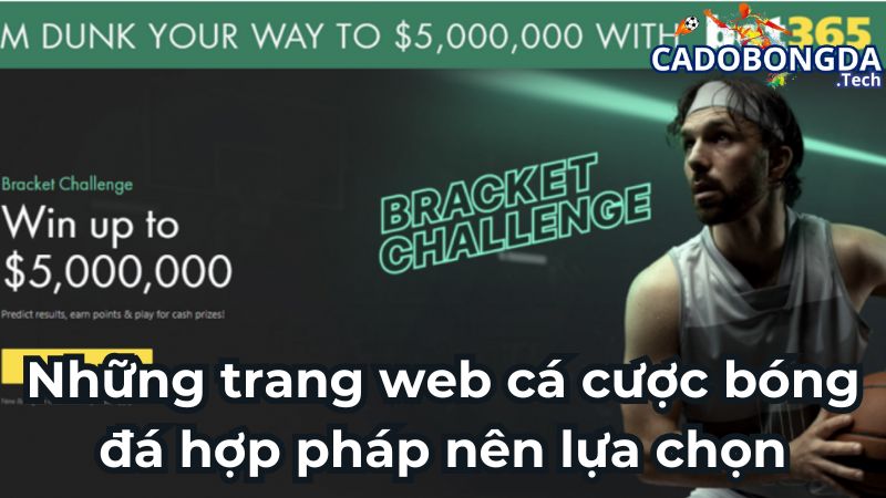 Những trang web cá cược bóng đá hợp pháp nên lựa chọn