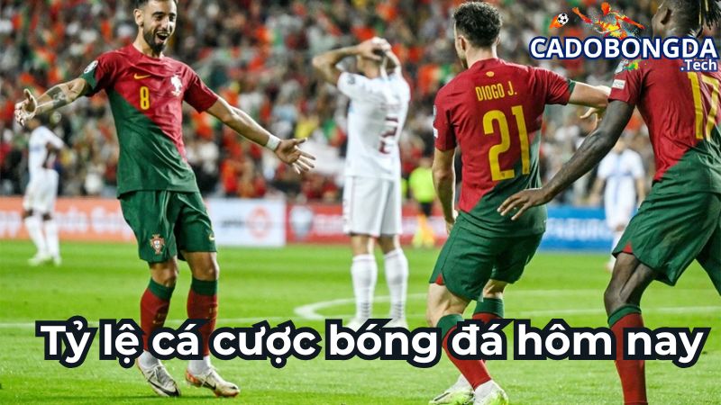 Những tỷ lệ cá cược bóng đá hôm nay thường gặp nhất