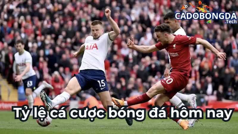 Những mẹo xem tỷ lệ cá cược bóng đá hôm nay hiệu quả