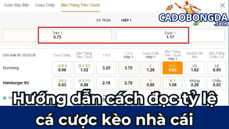 Hướng dẫn cách đọc tỷ lệ cá cược kèo nhà cái