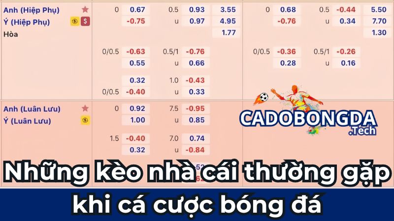Những kèo nhà cái thường gặp khi cá cược bóng đá Những kèo nhà cái thường gặp khi cá cược bóng đá