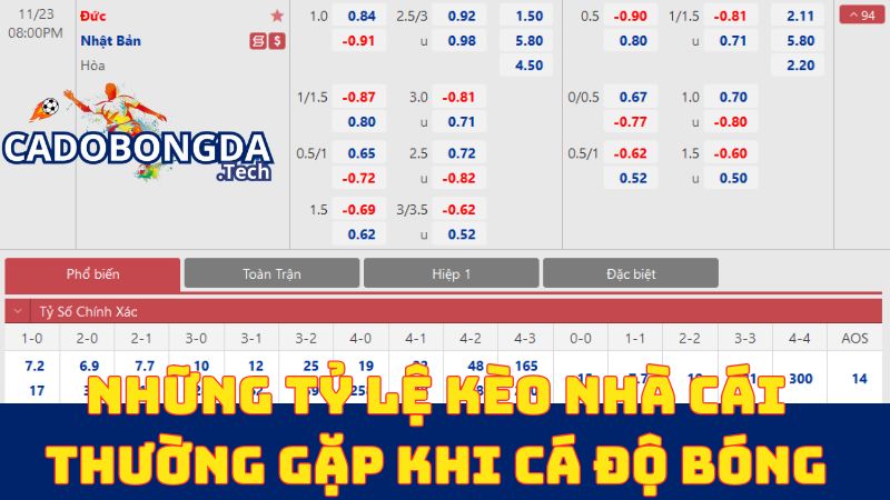 Những tỷ lệ kèo nhà cái thường gặp khi cá độ bóng đá Những tỷ lệ kèo nhà cái thường gặp khi cá độ bóng đá
