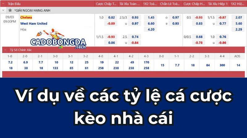 Ví dụ về các tỷ lệ cá cược kèo nhà cái